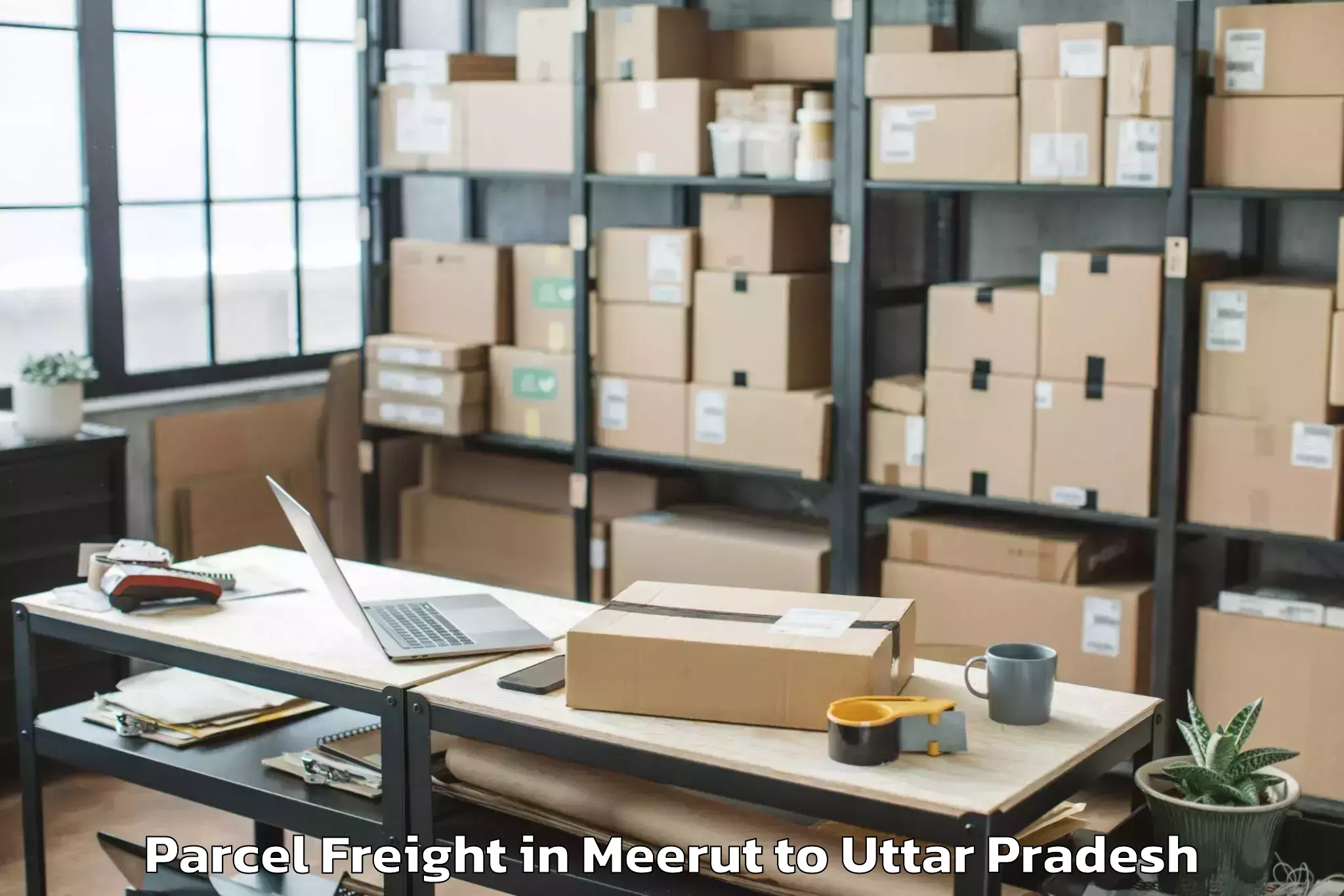 Meerut to Bajna Parcel Freight Booking